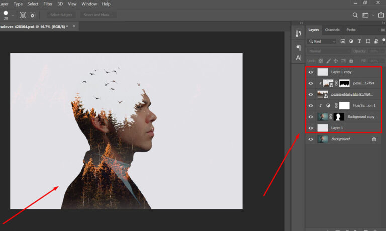 Choosing the Right Photoshop Service for Your Creative Needs